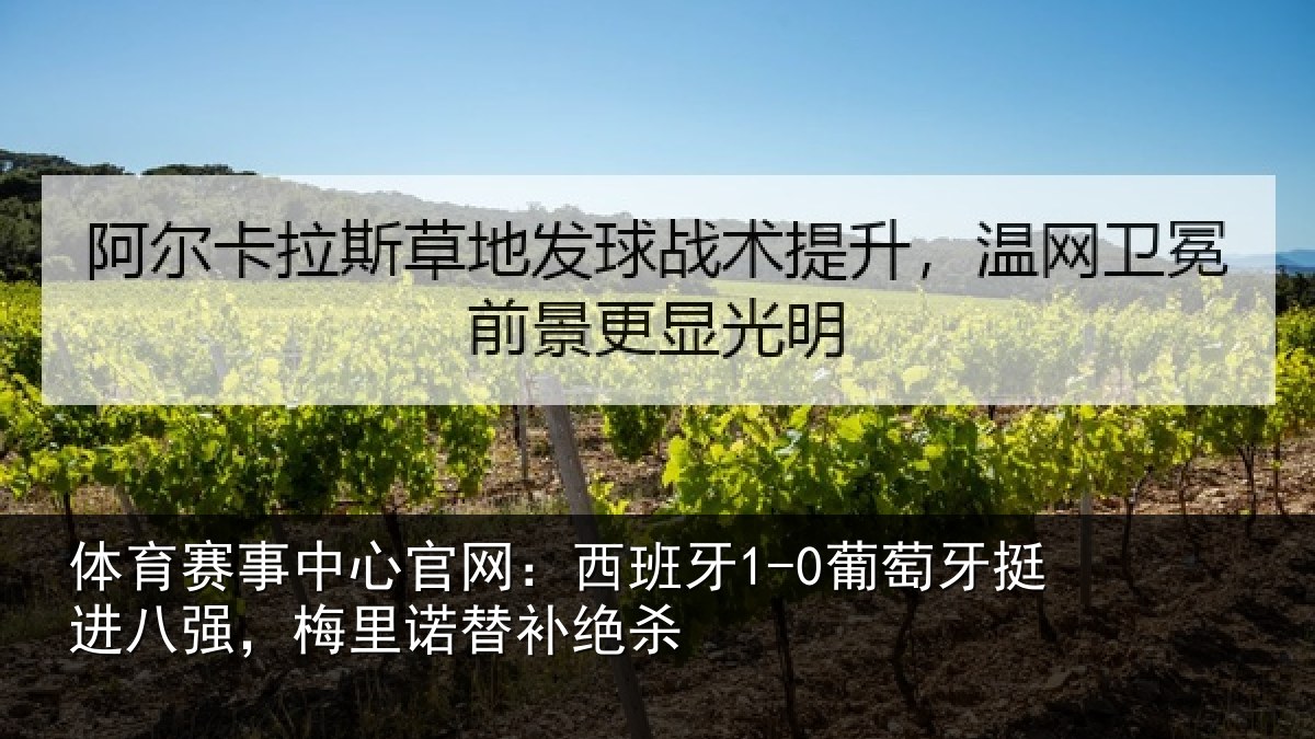 体育赛事中心官网:西班牙1-0葡萄牙挺进八强,梅里诺替补绝杀